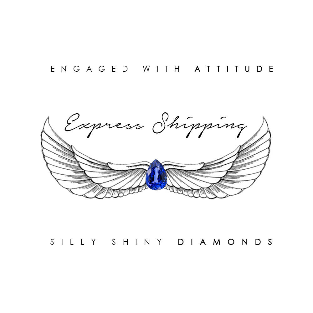 Express Shipping Ungrade - sillyshinydiamonds