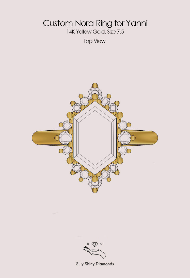 Private link for Yanni - Custom Nora Ring, 3ct Hexagon engagement ring